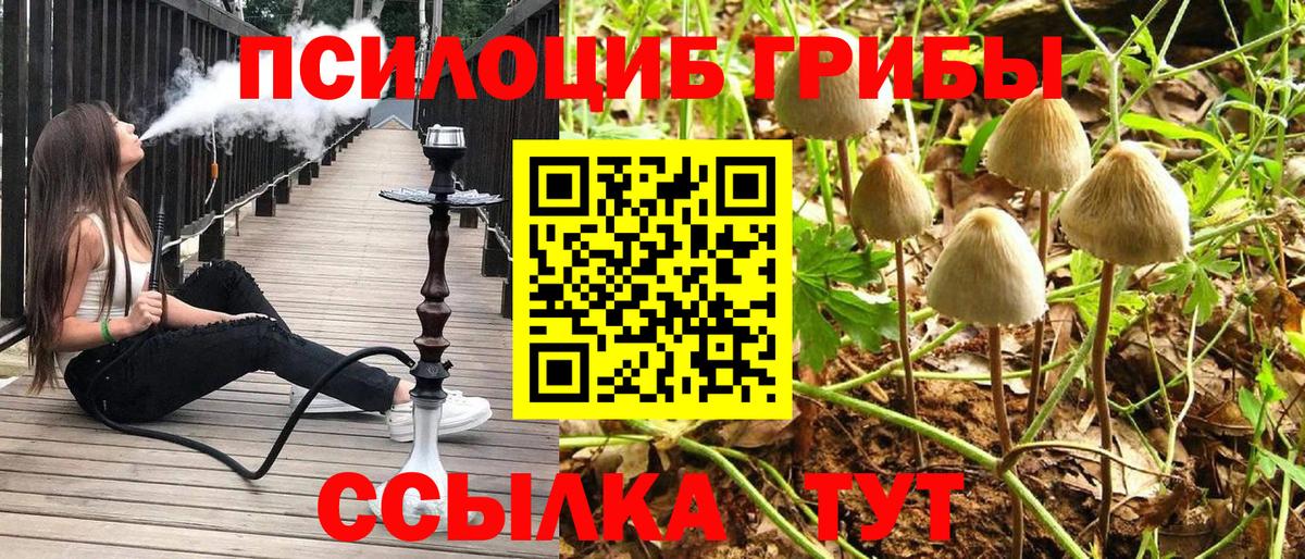 Переславль-Залесский  Галлюциногенные грибы Psilocybine cubensis  Вход с VPN 